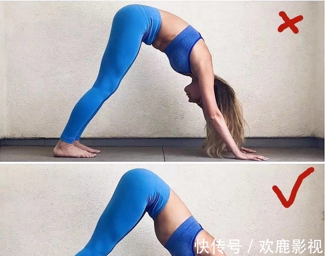 腘绳肌|要练好瑜伽下犬式,这些解剖要点你要知道!