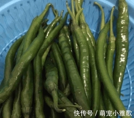 腌辣椒还得按老方法来，不仅制作简单，吃起来还特别香！