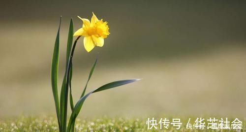 父母|出生在几点钟的孩子,是才子佳人,从小就优秀到大,是人中龙凤