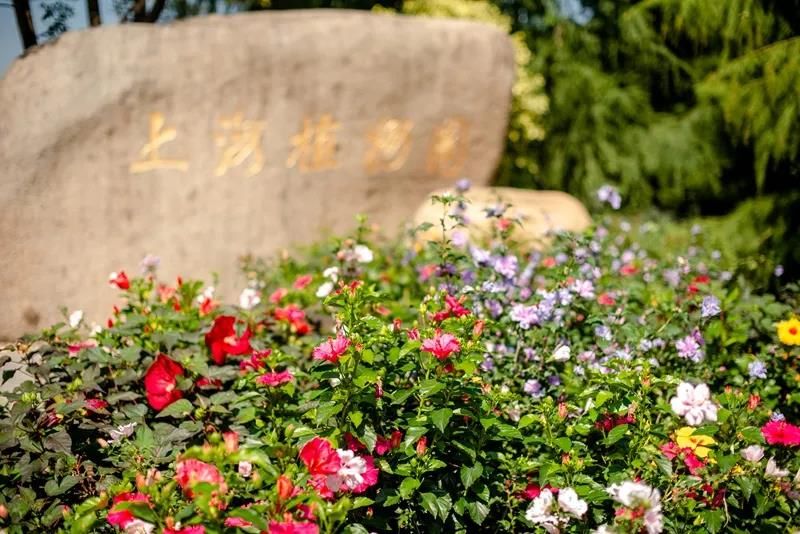 游客|上海植物园明年起免大门票费用，实行预约入园