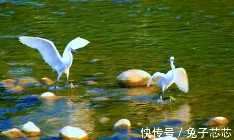 秋天|读两首唐诗,品古人笔下秋雨的韵味,感受那随心而动的凄情或美丽