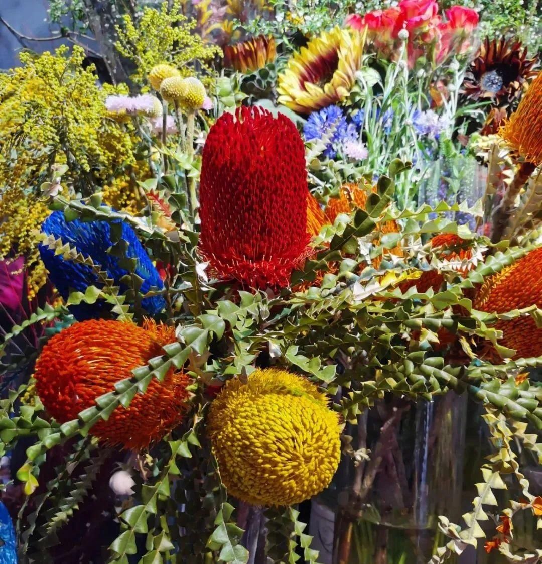 花市散发浓浓年味，这家店天天上新“应景”花！