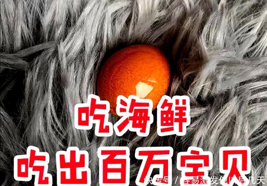 海螺|自然界行走的“彩票”，“吃”出一颗堪比中大奖！