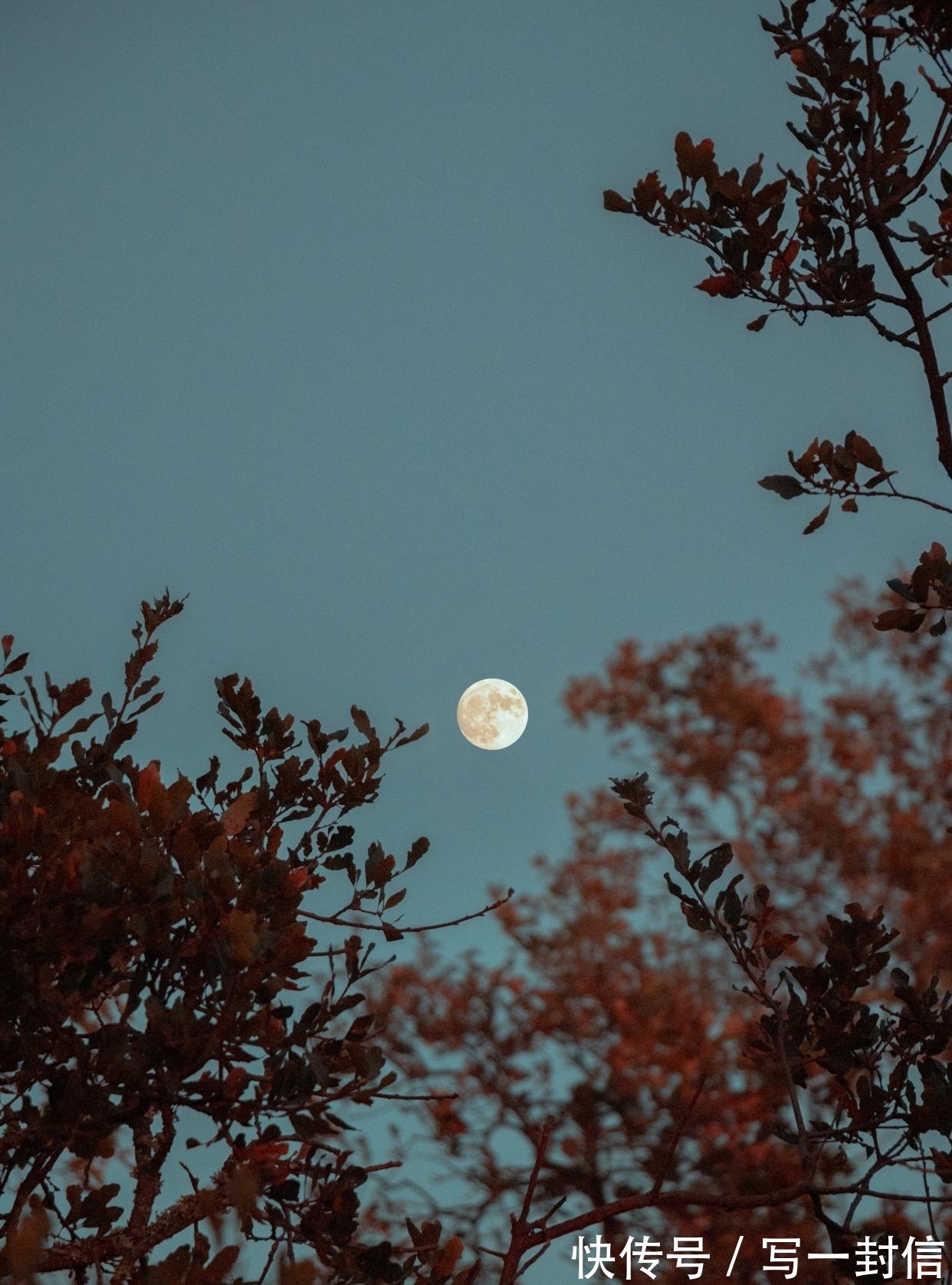 空青&欧阳修自己都满意的一首诗,称前4句浑然一体,结尾14字豁达乐观