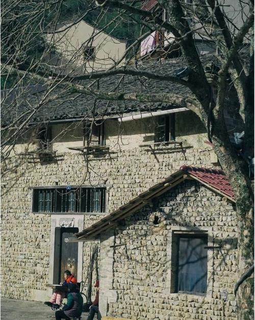 中年|杭州过年好去处