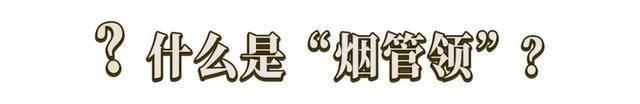 今年终于不流行露脖子了!“烟管领+大衣”才是真洋气!
