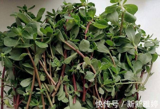 食物|怀孕后,孕妈尽量少吃这些食物,第1种很多孕妈都喜欢吃