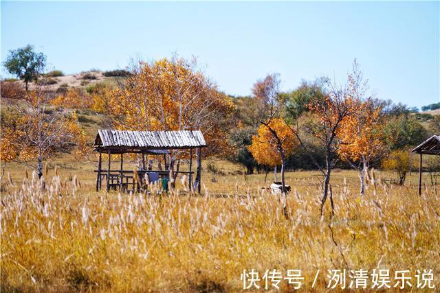 马儿|这里的秋天超震撼，追寻锡林郭勒大草原深处的秋色