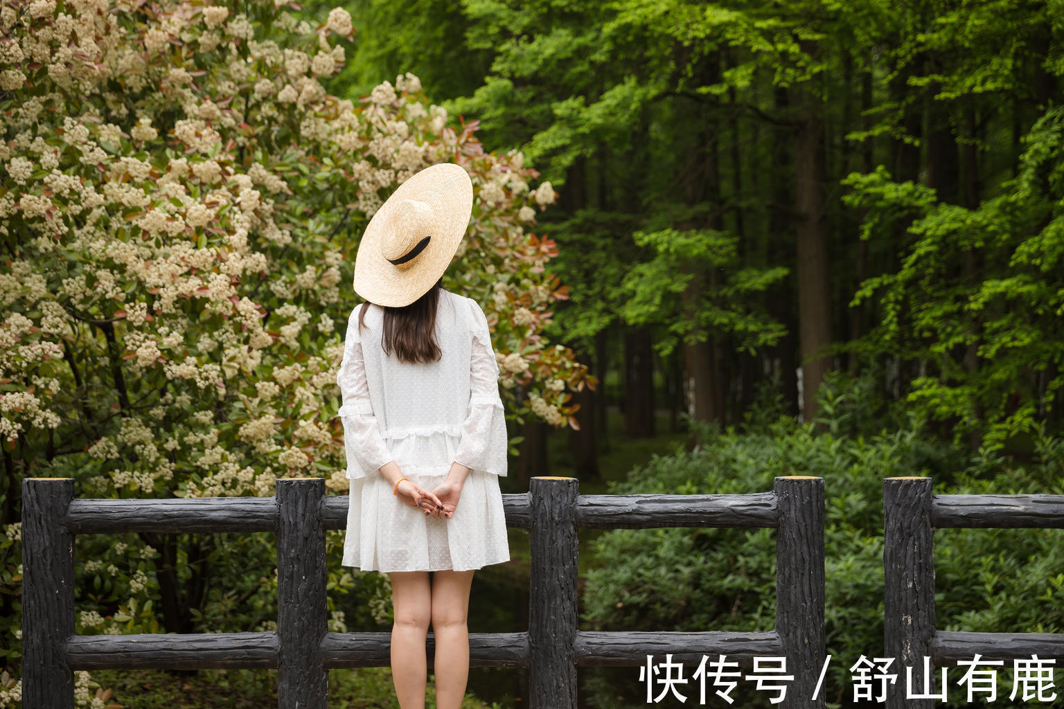 春夏秋冬#“人无癖,不可交”:有这几种“癖好”的人,并非俗人,值得深交