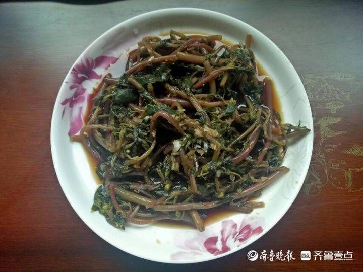 马齿笕|壹粉食堂｜夏日限定！凉拌马齿笕，清凉又解暑，新手也能轻松搞定