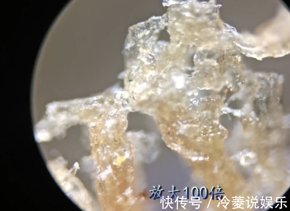 猪肉|猪肉冷冻3个月后还能吃吗放大1000倍,仿佛看到另一个世界