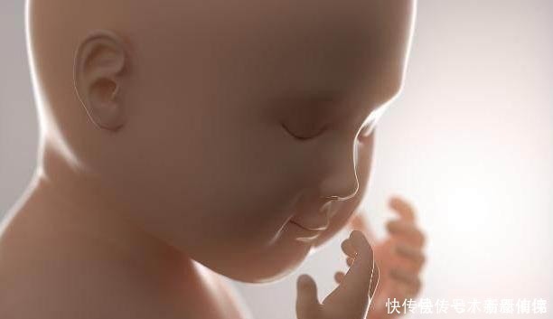 坏事|四维做到一半,小家伙竟然在妈妈腹中干“坏事”,连医生都乐了