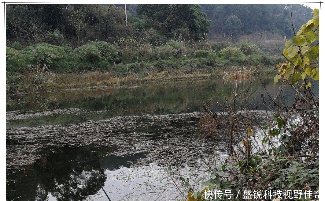 春末夏初巧寻板鲫:学会变通,找对方法