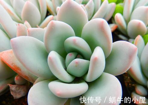 原来你也可以色的这么自然，色彩效果会非常震撼