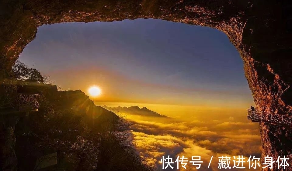 我国特有的单种属珍稀濒危兰花——金佛山兰