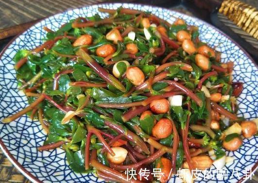 营养价值|六月土豆黄瓜靠边站,最该吃的是它,营养美味还下火,错过很可惜