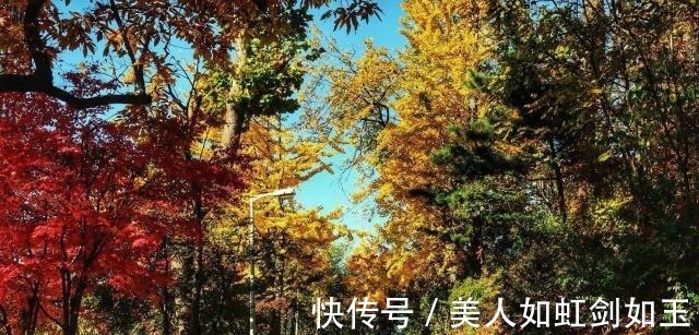 皇帝&北宋最管不住嘴的文人,被皇帝嘲笑后在墙壁写首诗,诞生了个成语!