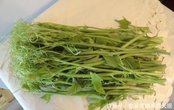 排毒|女性想要变年轻,多吃几种食物,排毒护肤,美容养颜,延缓衰老