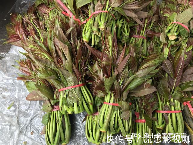 城里人|农村里不值钱几种野菜,都是城里人的抢手货,第6种80块钱1斤