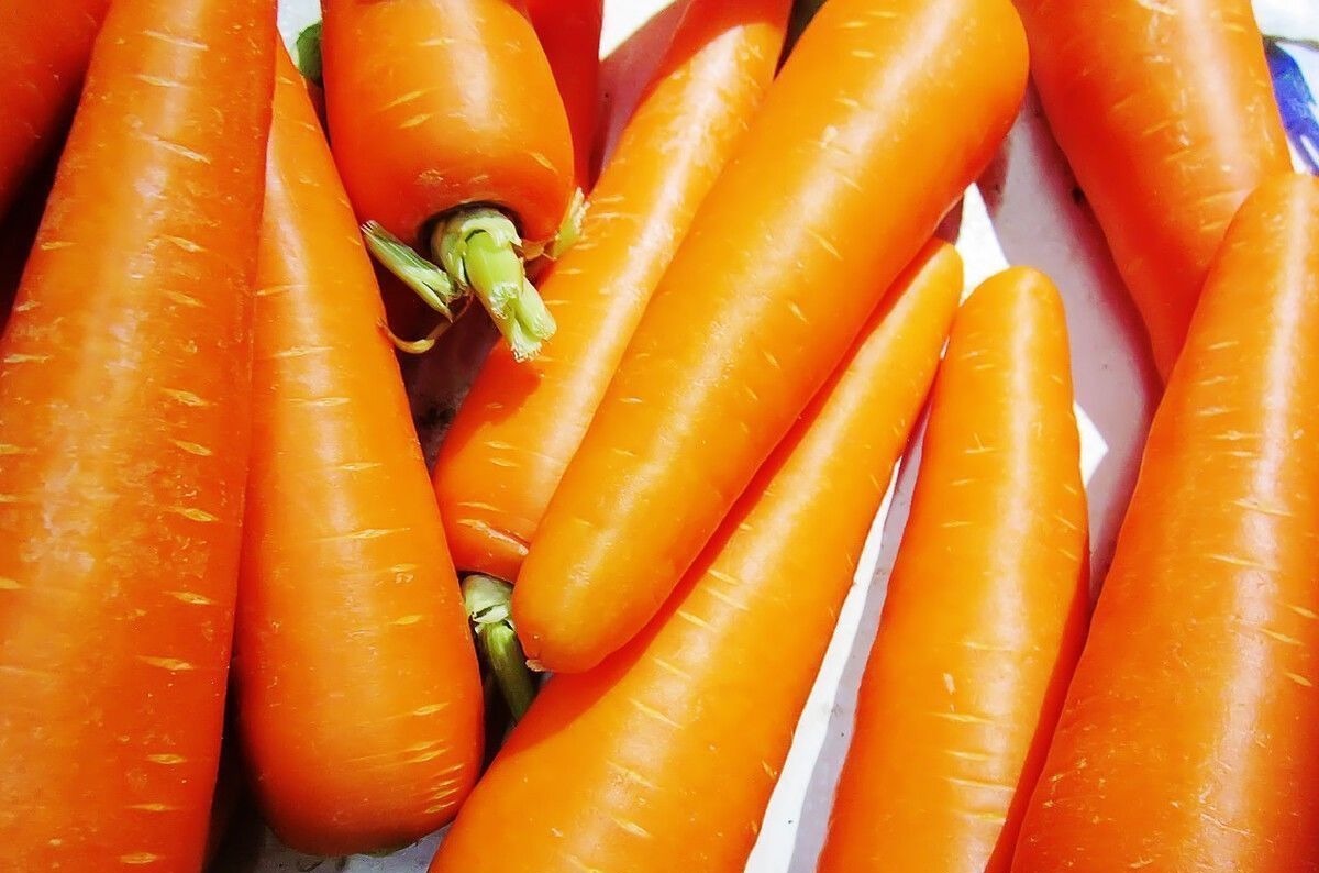 胡萝卜,带泥和干净的选哪种?菜农:很多人买这种,我家从来不吃