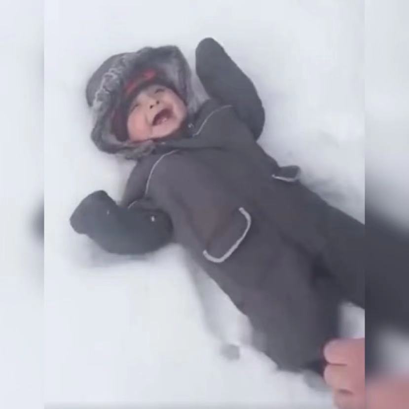 自由飞翔|亲爸让娃第一次体验雪,娃的小表情亮了,网友:是自由飞翔的感觉