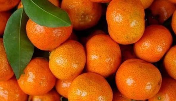 很多人爱吃的橘子,切记别和此物一起吃,是大忌,别把身体吃坏了