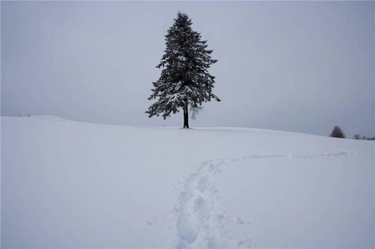 奇怪的雪块现象有哪些？雪块怎么来的？雪块的危害？