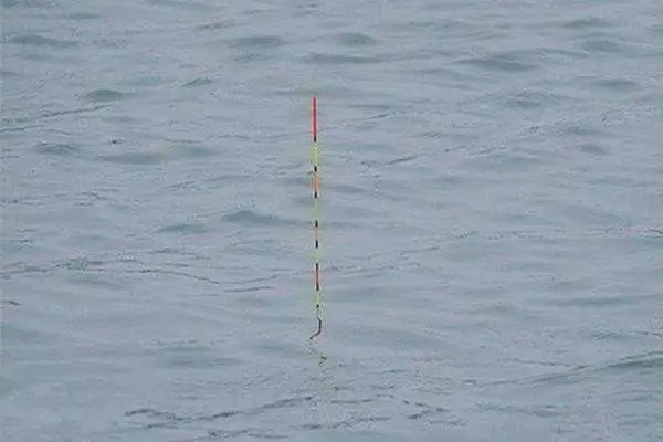 冬天鱼口弱真的不好抓,你可以试试这几招,能有效放大漂讯,提高抓口成功率