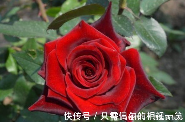 积阴德|俗话说人在做,天在看,多做4件积德事,晚年必将长寿又多福!