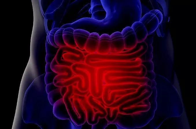 硕参|26岁女子,肠道内长满肿瘤,再次提醒3种食物,少往嘴里塞