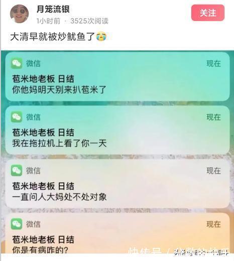 |当代网友的搞笑高智商神回复第333篇