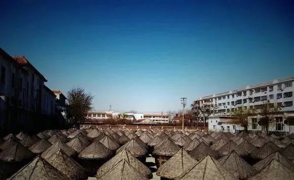 山东临清市发现全国最大粮仓遗址,号称“天下第一仓”!