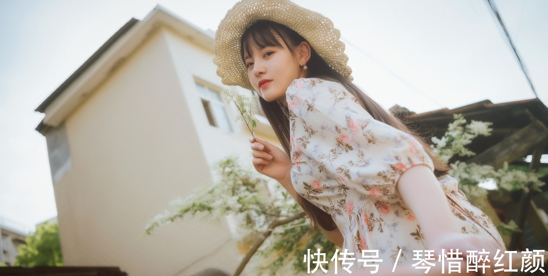 冬麦#诗·十四首丨似有野禽先啄粒,至无燕子共寻芳