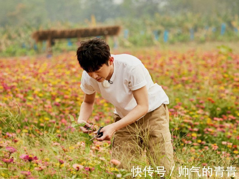 明星综艺干活被质疑，当镜头扫过张子枫裤腿后，网友：一目了然