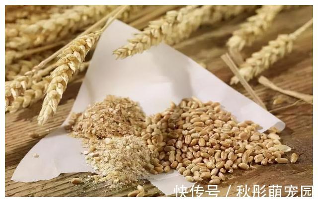 患上糖尿病|患上糖尿病,不能吃大蒜?医生解答:除了大蒜,这3种物也要注意