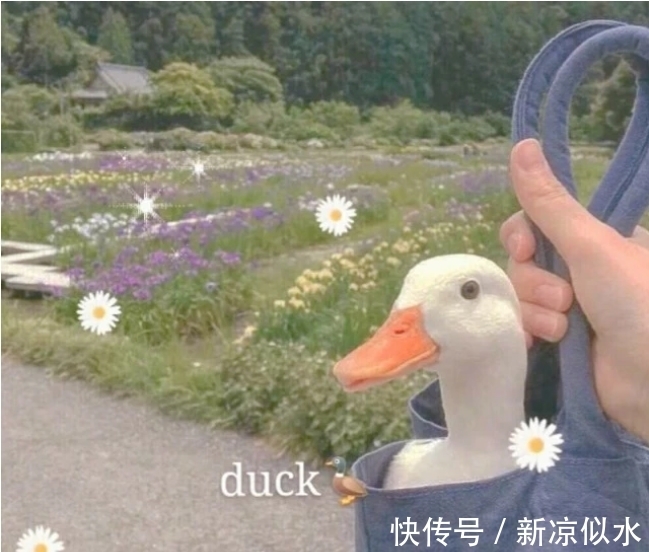少女心|“治愈+神仙滤镜”背景图爆红,满满少女心,小可爱了解一下