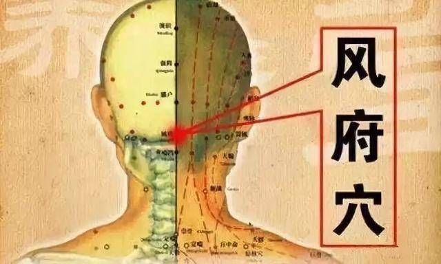 穴位|只要掌握“六大灵穴”,能把“风寒湿燥火”一扫光