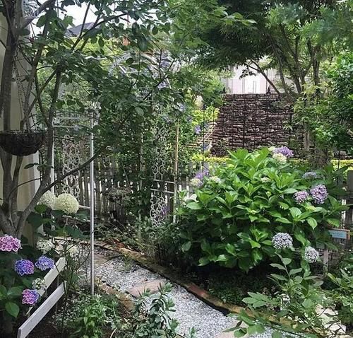 这份让春季花园“爆花”的清单你收藏一下吧！