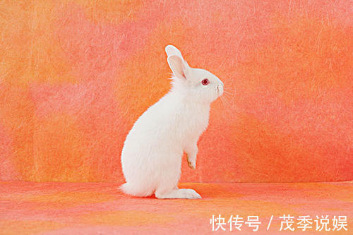 横财|未来14天,好事成双,财喜皆旺,横财盈门的生肖