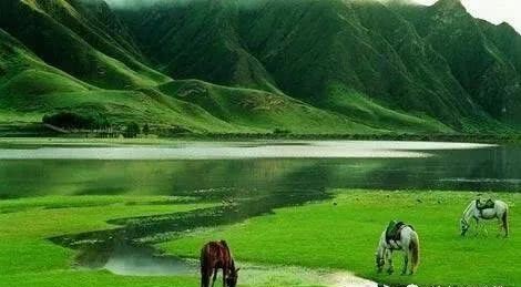 宋朝|宋朝为什么在军事上是一个积弱的朝代?