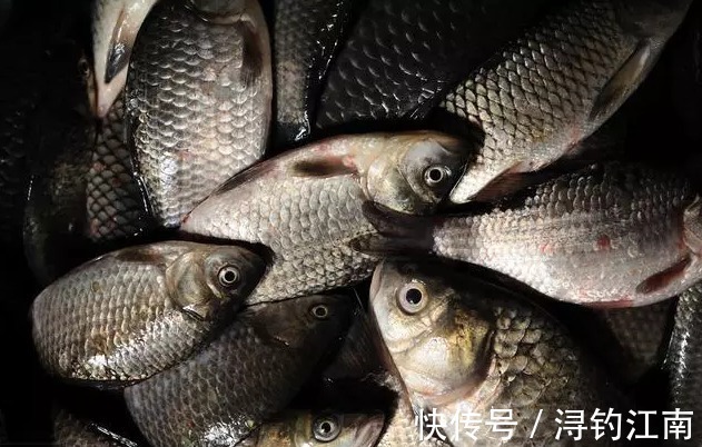 钓鱼5个小窍门,让你的空枪率降低45%以上,渔获爆护