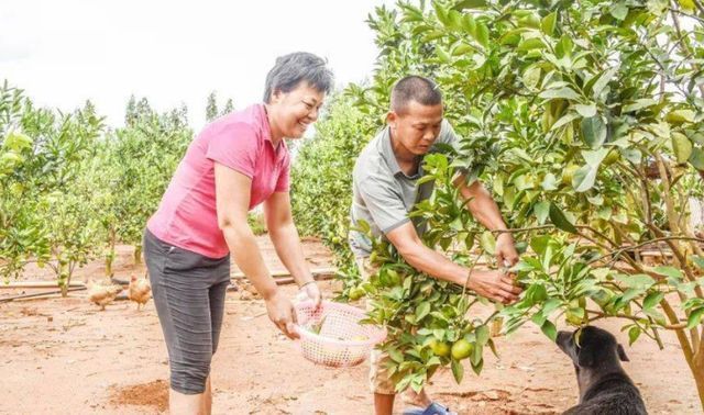 游乐园|全红婵最新消息!曝未回到家里,村口全天设卡检查,不让外人进村