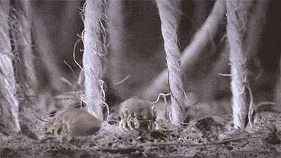 90的人都在陪螨虫睡觉螨虫最怕3种东西,好好利用,螨虫跑光光