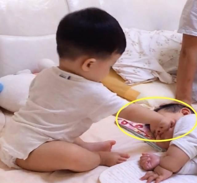 小弟弟|弟弟睡了哥哥睡觉的地方,哥哥这样对弟弟,逗的人忍不住笑