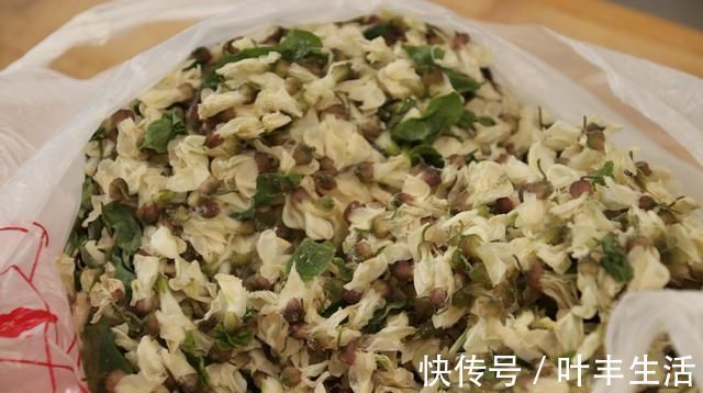 小董|三伏天,用这菜蒸包子太香了,想吃都买不到,皮薄大馅又鲜美