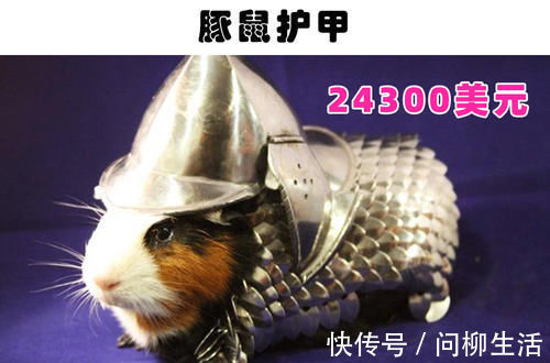 博尔特|奇怪的网购商品：世界各地的网购平台上曾出现过的9件奇怪商品