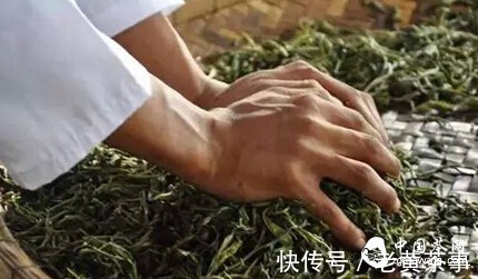 树龄|茶，耐不耐泡，它们说了算