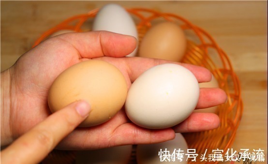 才知道,红壳鸡蛋和白壳鸡蛋,区别这么大,很多人不懂,别买错了