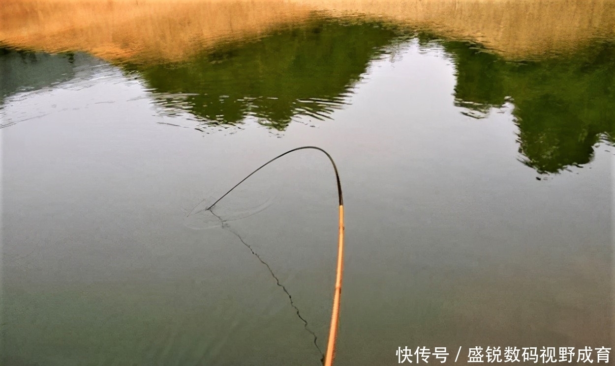 何道理|钓到大鱼不切子线,却切主线是何道理?子线缠绕打结怎样解决