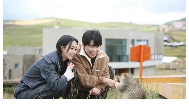 拋開甜蜜濾鏡，《女兒們的戀愛》第四季什么更讓人“上頭”？